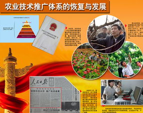 农业技术推广体系的恢复与发展